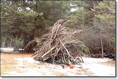 The Brushpile