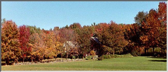 Rear view of Farm from the garden