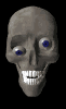 Skull