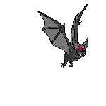 Another bat