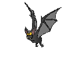 Mirror twin bat