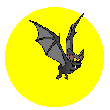 Vampire bat