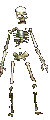 Skinny!
