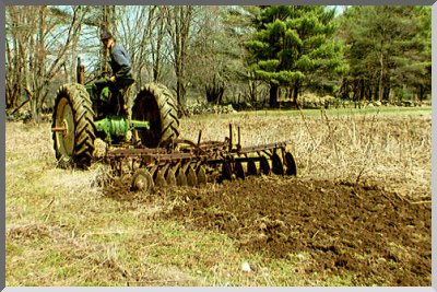 Harrowing asparagus stubble