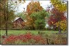 Barn Scene