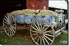Hayride