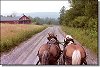 Hayride