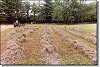 Raking