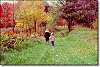 A walk