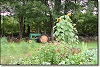 Sunflowers in the garden