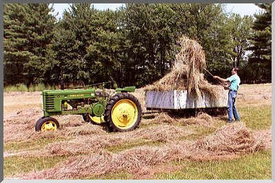 Pitching hay