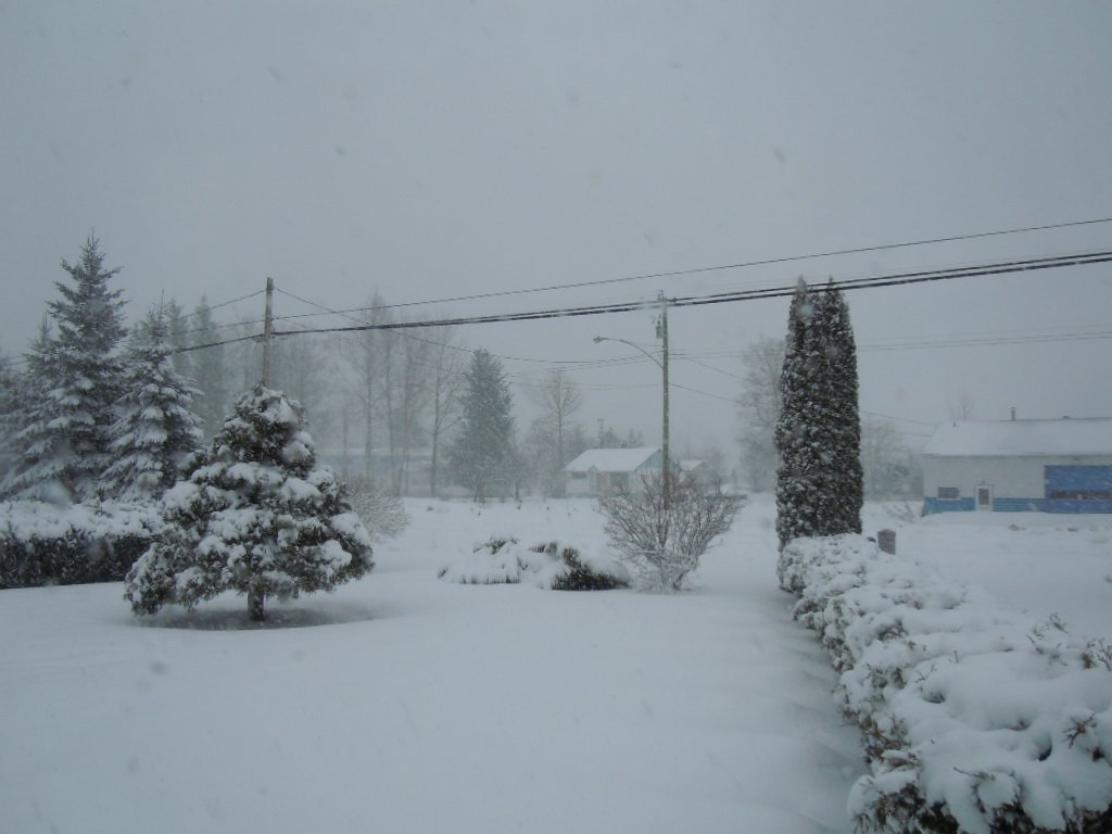 Terrace BC