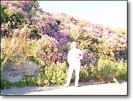 This picture was taken from near point F on the map, click here