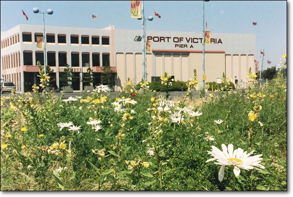 This picture was taken from near point D on the map, click here