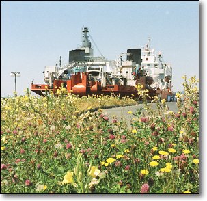 This picture was taken from near point D on the map, click here