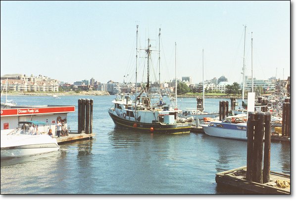This picture was taken from just to the right of point 12 on the map, looking east.... click here