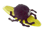 Hi, I'm Webster, the spider.